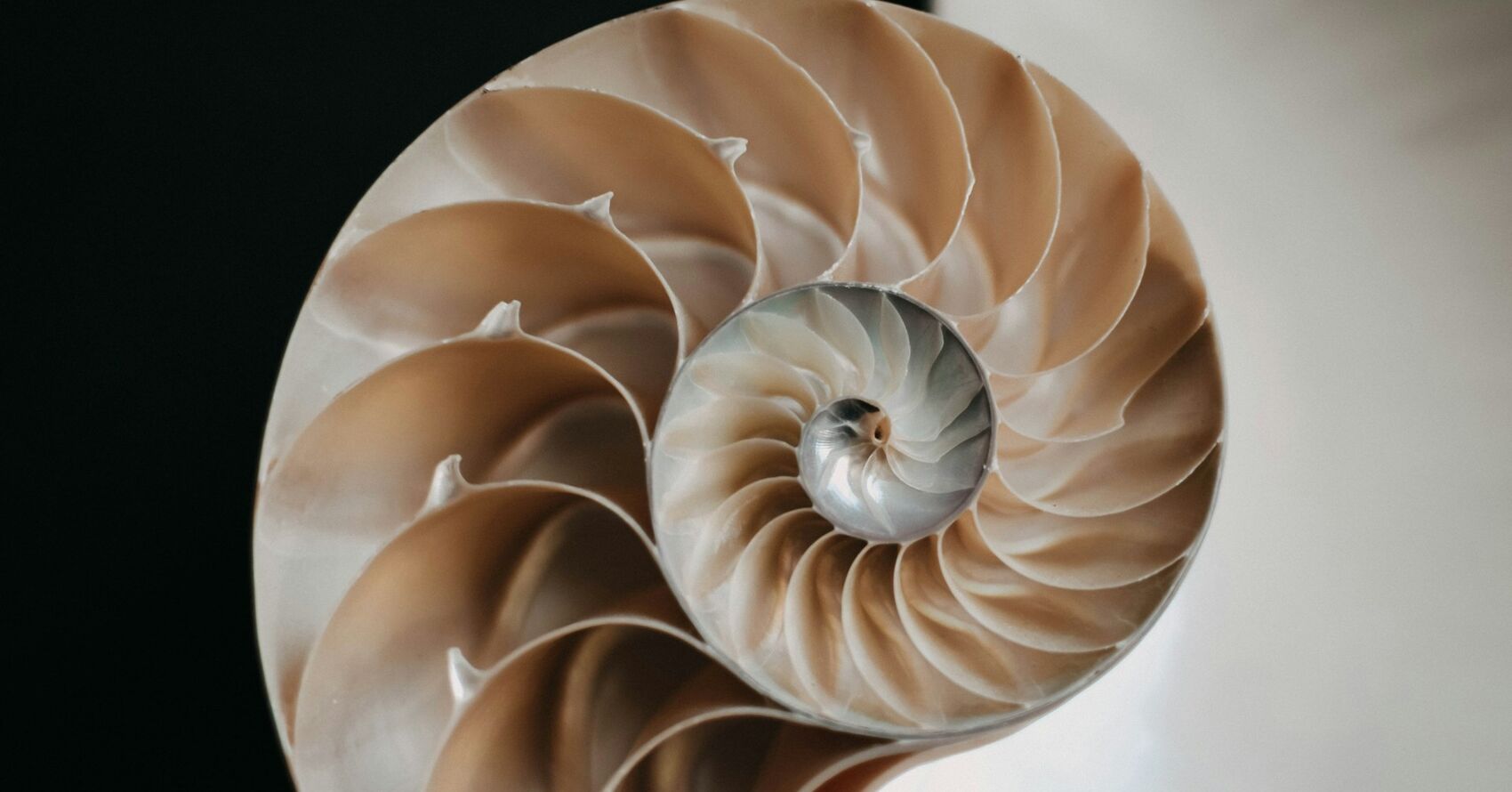Picture Spirals Photo Contest